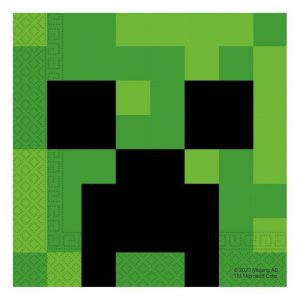 MINECRAFT SALVETE